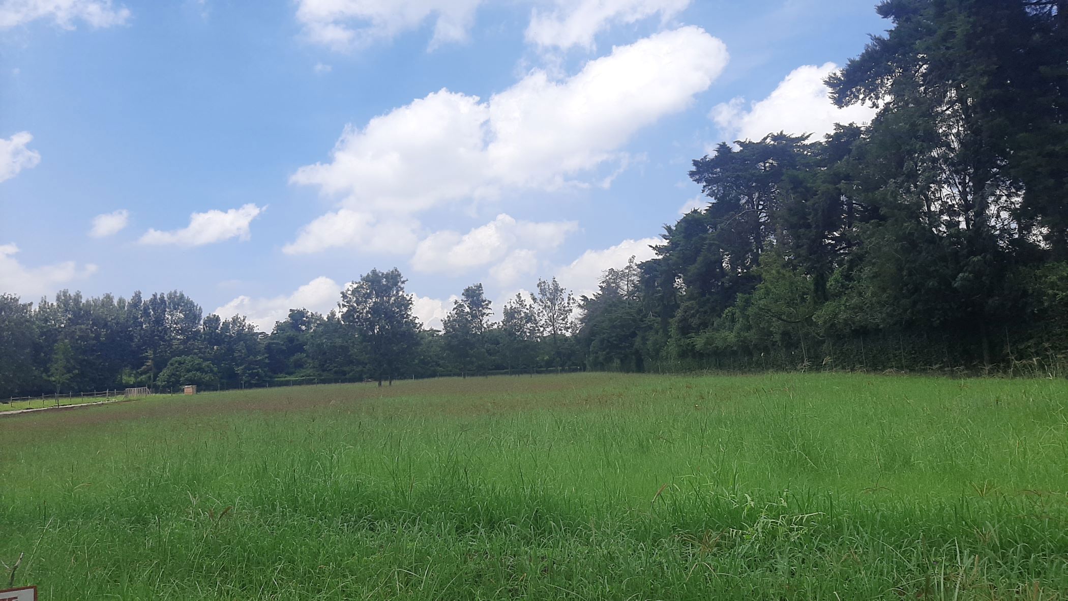 Vacant land for sale in Karen, Kenya - 3KE1701654