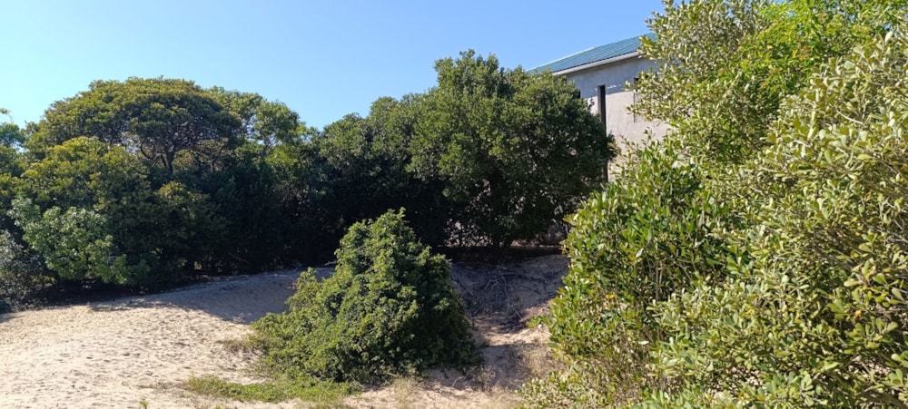 Vacant land for investment in Praia de Macaneta, Mozambique - 3MQ1704876 Vacant land for investment in Praia de Macaneta, Mozambique - 3MQ1704876