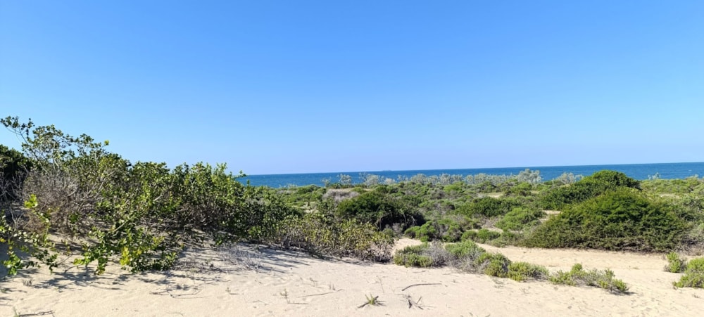 Vacant land for investment in Praia de Macaneta, Mozambique - 3MQ1704890 Vacant land for investment in Praia de Macaneta, Mozambique - 3MQ1704890