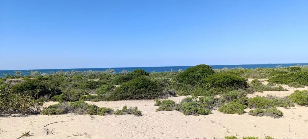 Vacant land for investment in Praia de Macaneta, Mozambique - 3MQ1704890 Vacant land for investment in Praia de Macaneta, Mozambique - 3MQ1704890