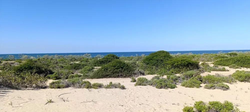 Vacant land for investment in Praia de Macaneta, Mozambique - 3MQ1704890 Vacant land for investment in Praia de Macaneta, Mozambique - 3MQ1704890