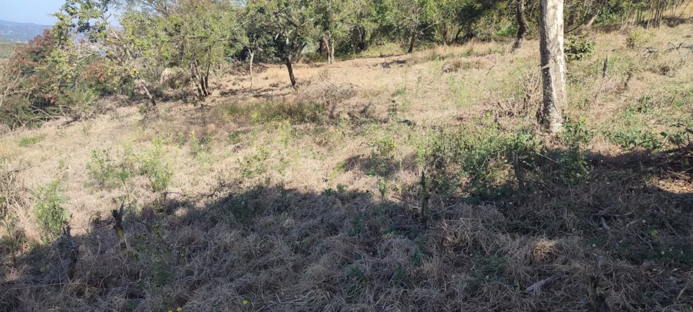 Vacant land for sale in Drum Rock - 1NS1703828