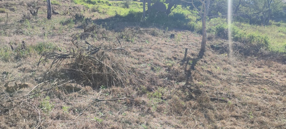 Vacant land for sale in Drum Rock - 1NS1703828 Vacant land for sale in Drum Rock - 1NS1703828