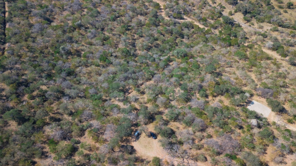 Vacant land for sale in Elephant Rock Eco Estate - 1HS1702884