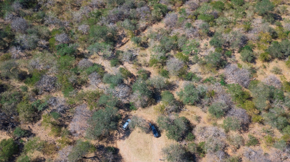 Vacant land for sale in Elephant Rock Eco Estate - 1HS1702884