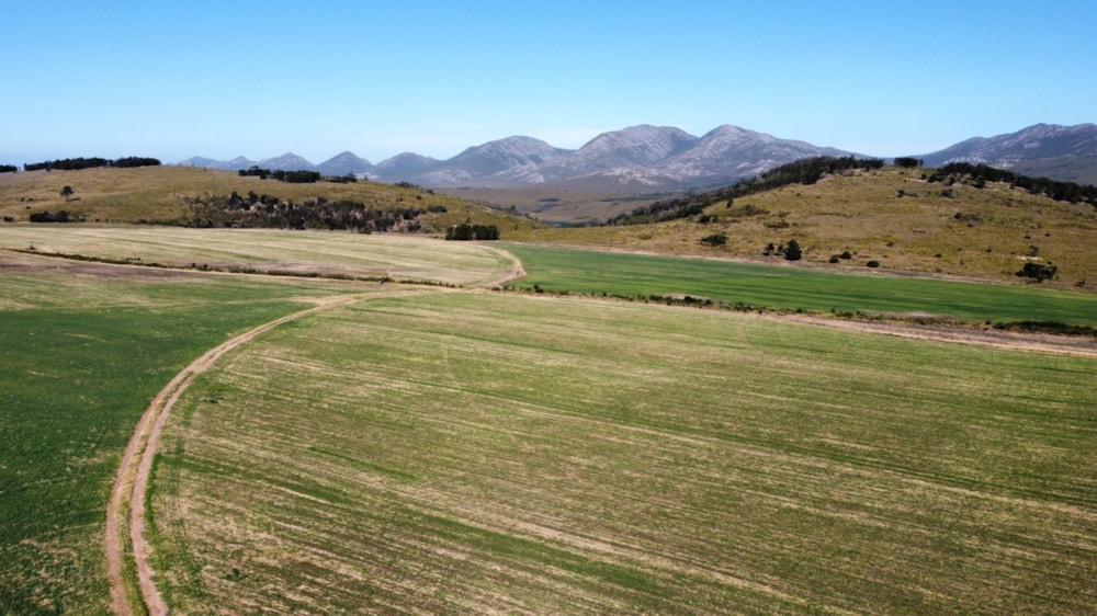 Mixed use farm for sale in Kareedouw, Eastern Cape - 1JF1706972