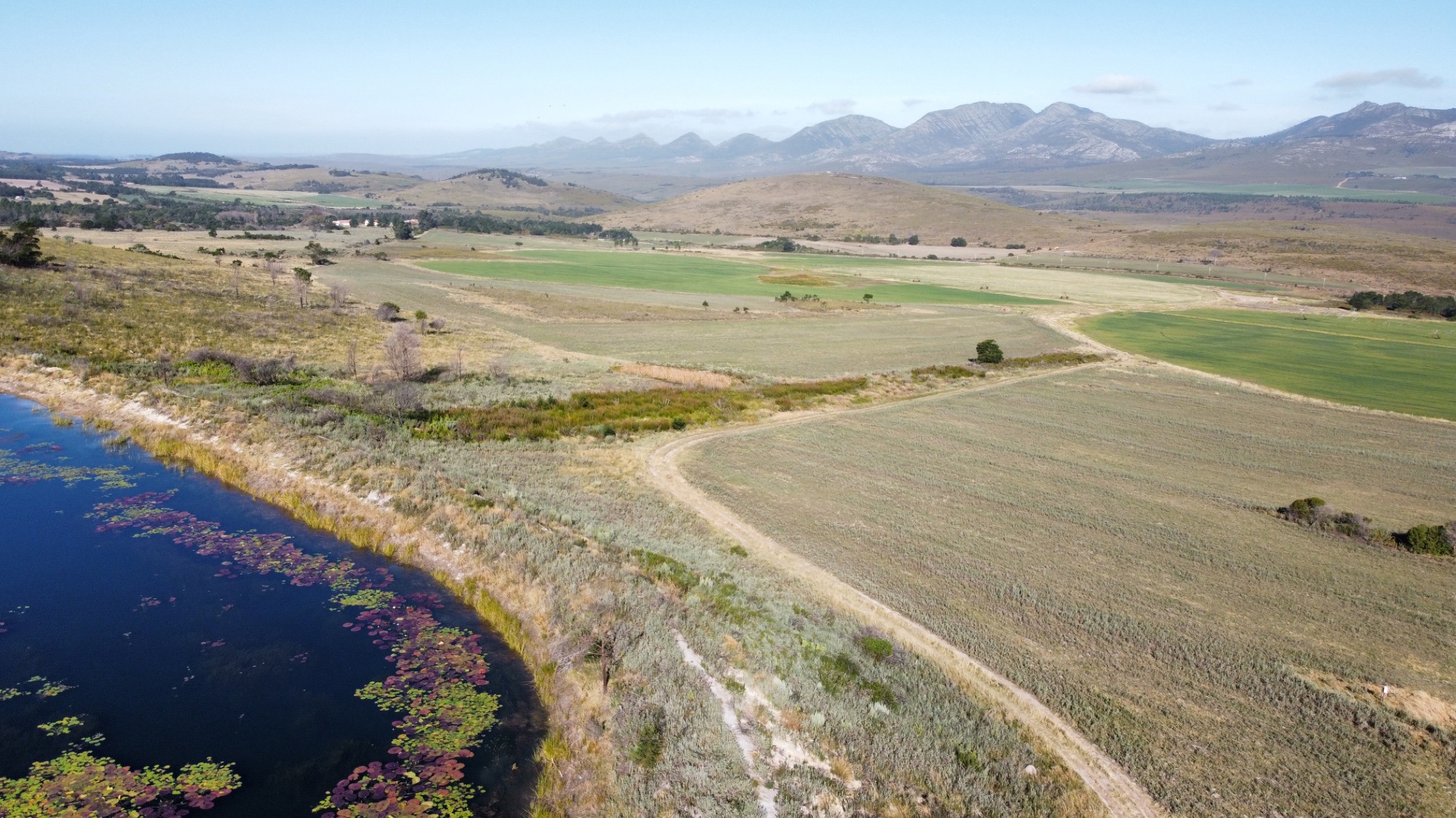 Mixed use farm for sale in Kareedouw, Eastern Cape - 1JF1706972