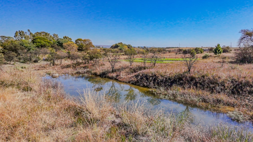 Smallholding for sale in Mooiplaats AH - PT1702899