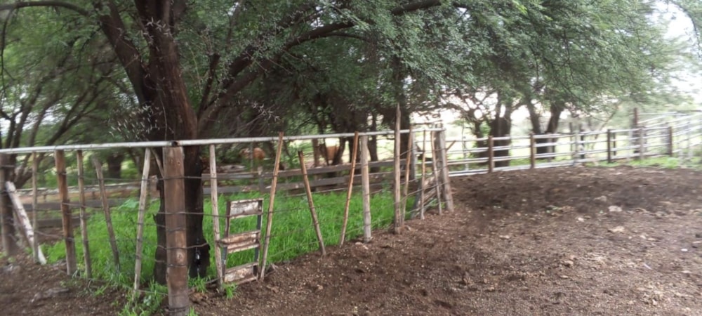 Farm vacant land for sale in Kuruman - 1RN1702910 Farm vacant land for sale in Kuruman - 1RN1702910