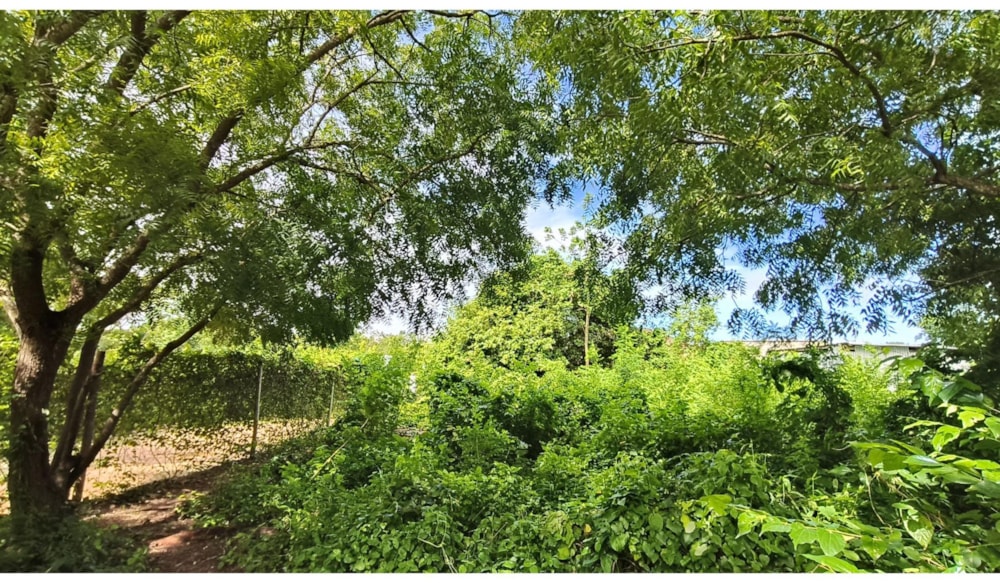 Residential vacant land for sale in Galu, Kenya - 3KE1703146