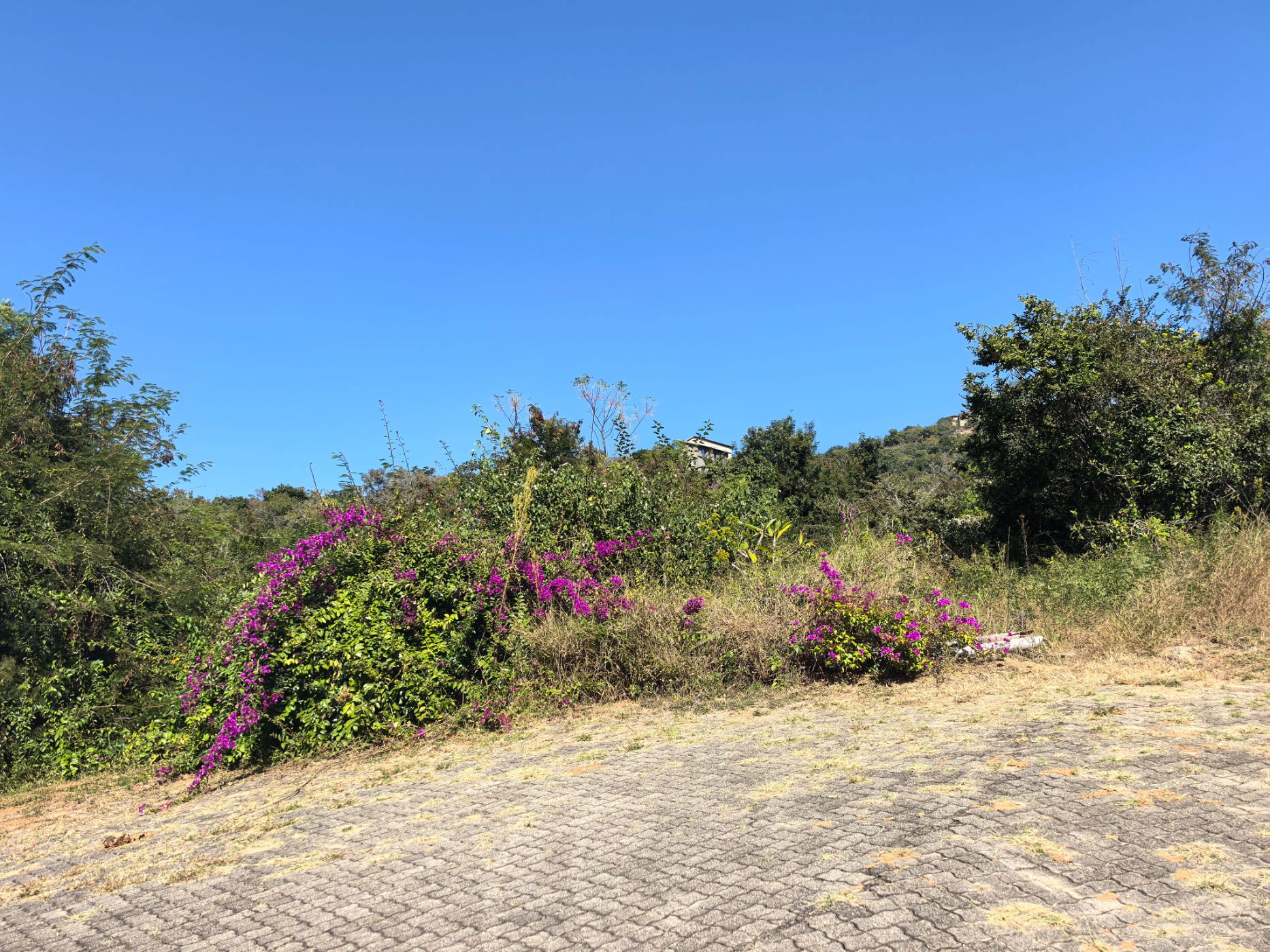 Smallholding for sale in Mbombela Central (Nelspruit Central) - 1NS1703078