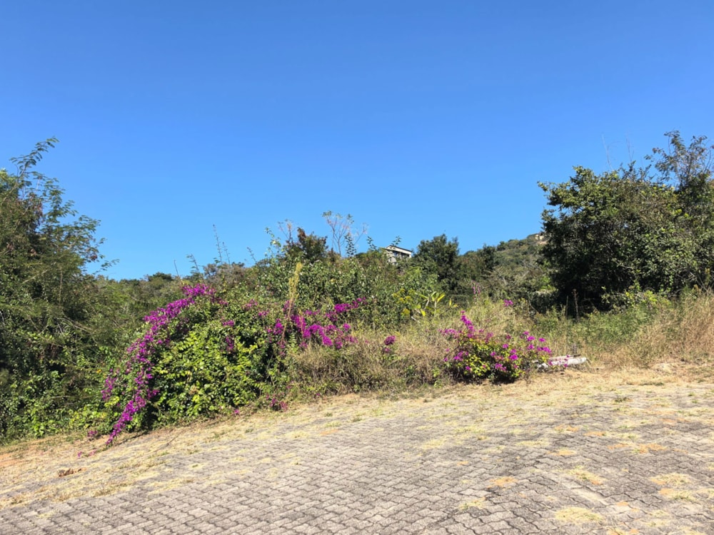 Smallholding for sale in Mbombela Central (Nelspruit Central) - 1NS1703078