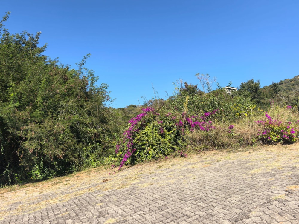 Smallholding for sale in Mbombela Central (Nelspruit Central) - 1NS1703078