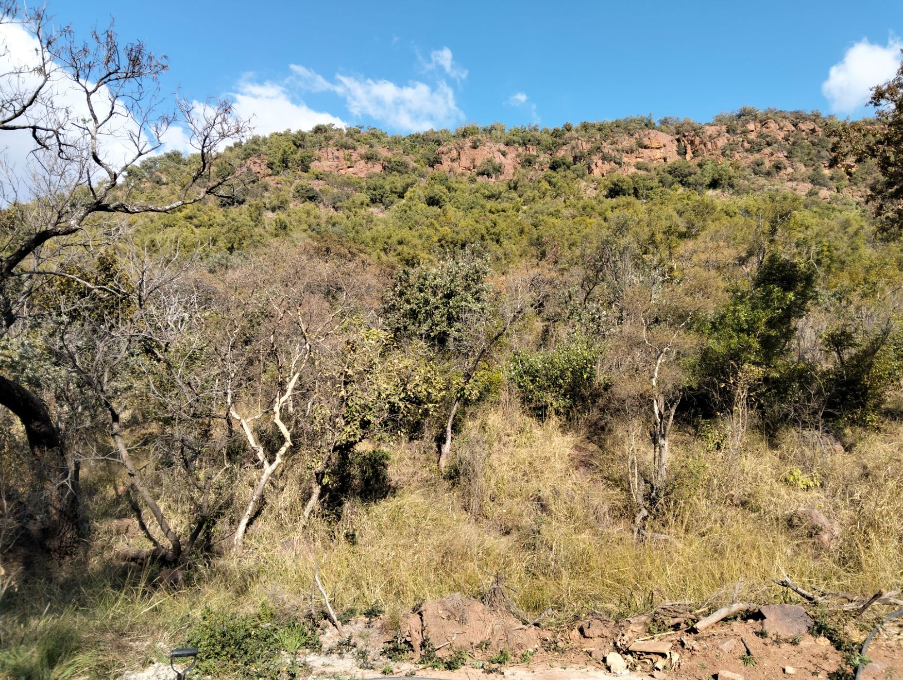 Vacant land for sale in Bronkhorstspruit Rural - PRN1705043