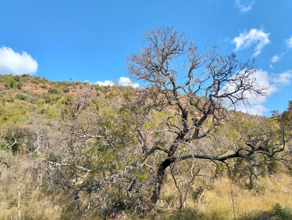 Vacant land for sale in Bronkhorstspruit Rural - PRN1705043