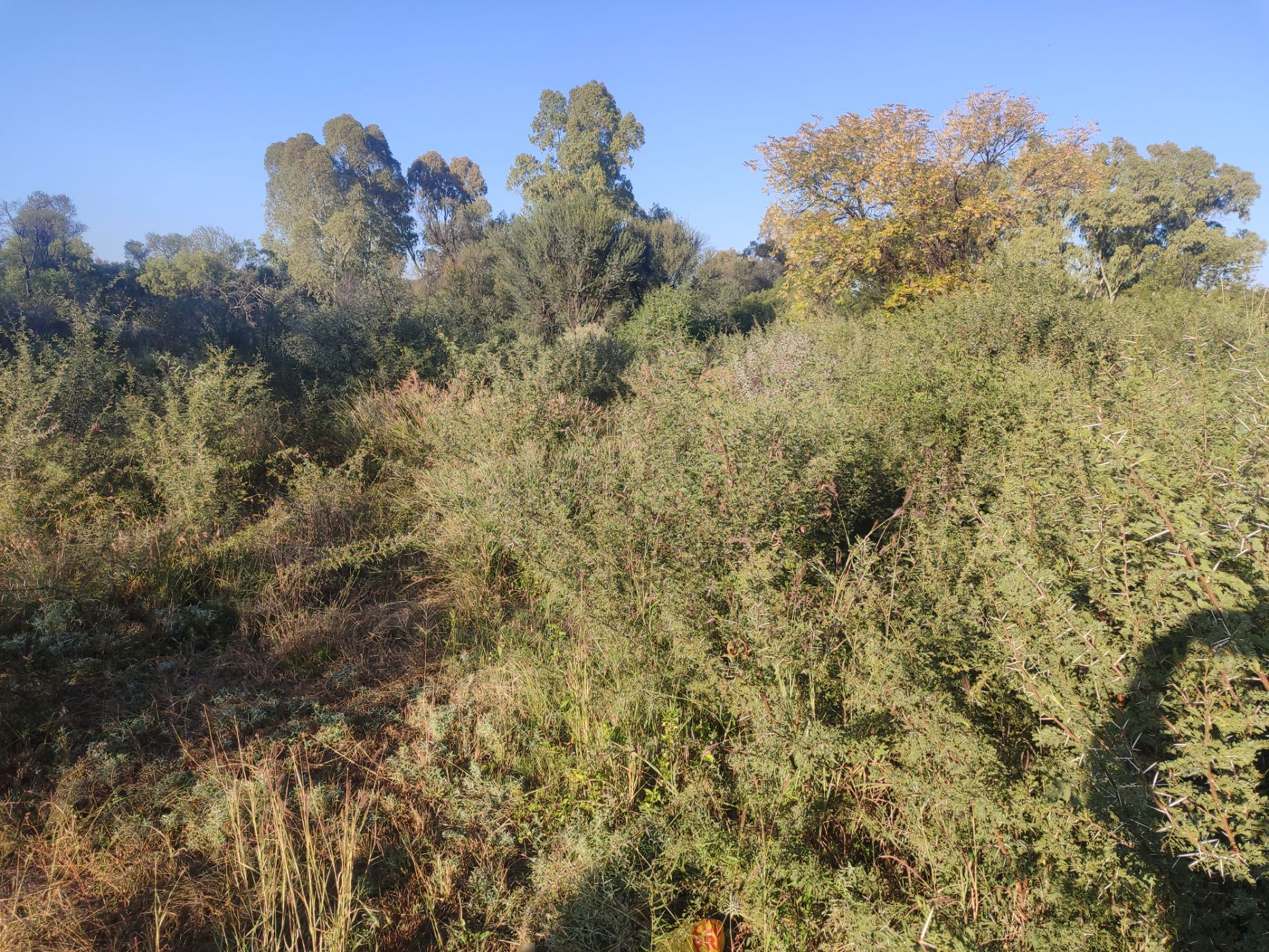 Vacant land sold in Hartswater, Northern Cape - 1RN1703255