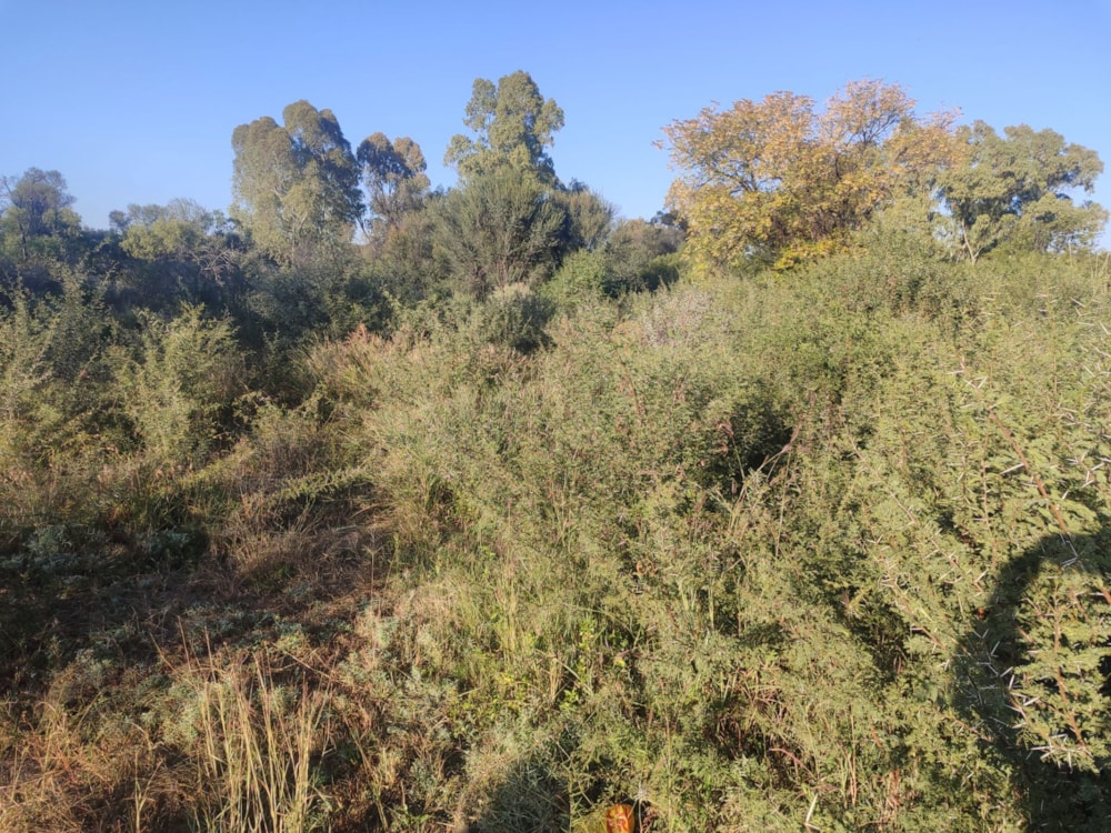 Vacant land sold in Hartswater, Northern Cape - 1RN1703255 Vacant land sold in Hartswater, Northern Cape - 1RN1703255