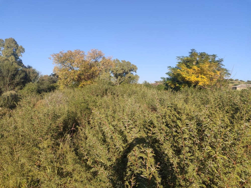 Vacant land sold in Hartswater, Northern Cape - 1RN1703255 Vacant land sold in Hartswater, Northern Cape - 1RN1703255