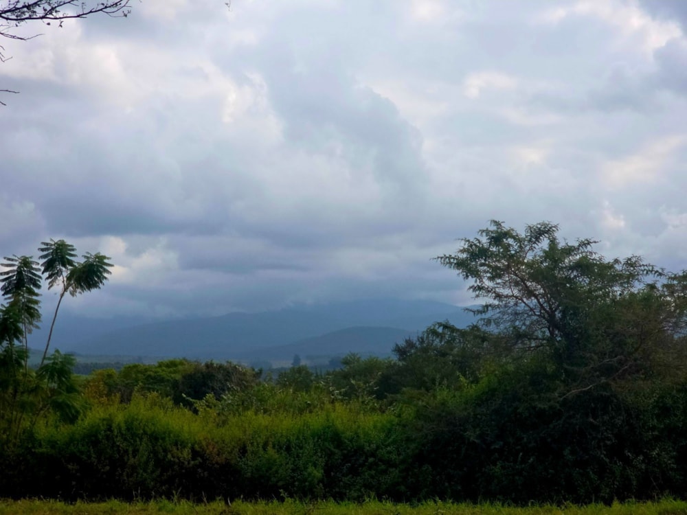 House for sale in Aqua Park - 1TA1703339