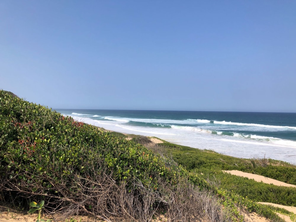 Vacant land for investment in Jangamo, Mozambique - 3MQ1703363