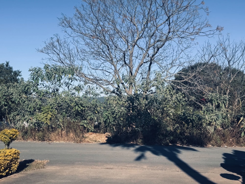 Vacant land for sale in Lynnfield Park  - 1PM1705095