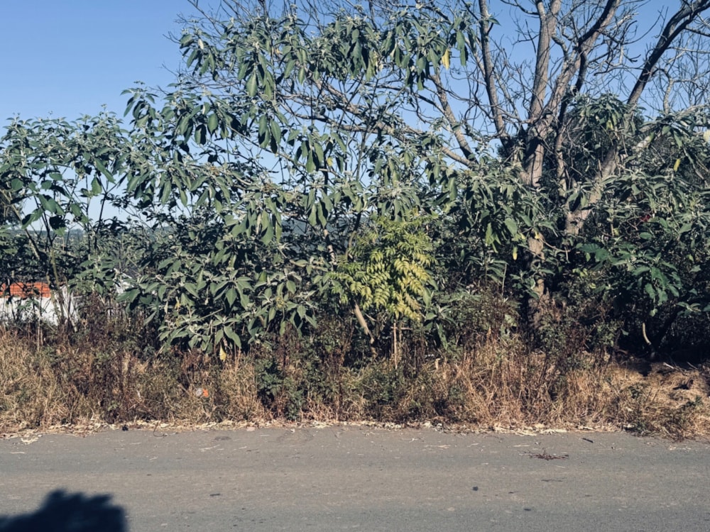 Vacant land for sale in Lynnfield Park  - 1PM1705095