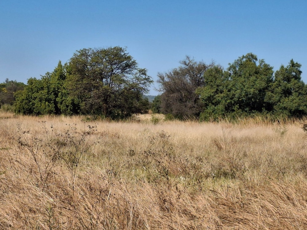 Farm vacant land for sale in Swartruggens - 1RU1703513 Farm vacant land for sale in Swartruggens - 1RU1703513