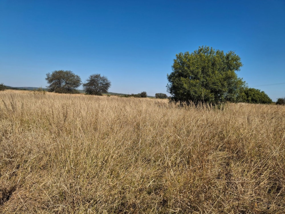 Farm vacant land for sale in Swartruggens - 1RU1703513 Farm vacant land for sale in Swartruggens - 1RU1703513