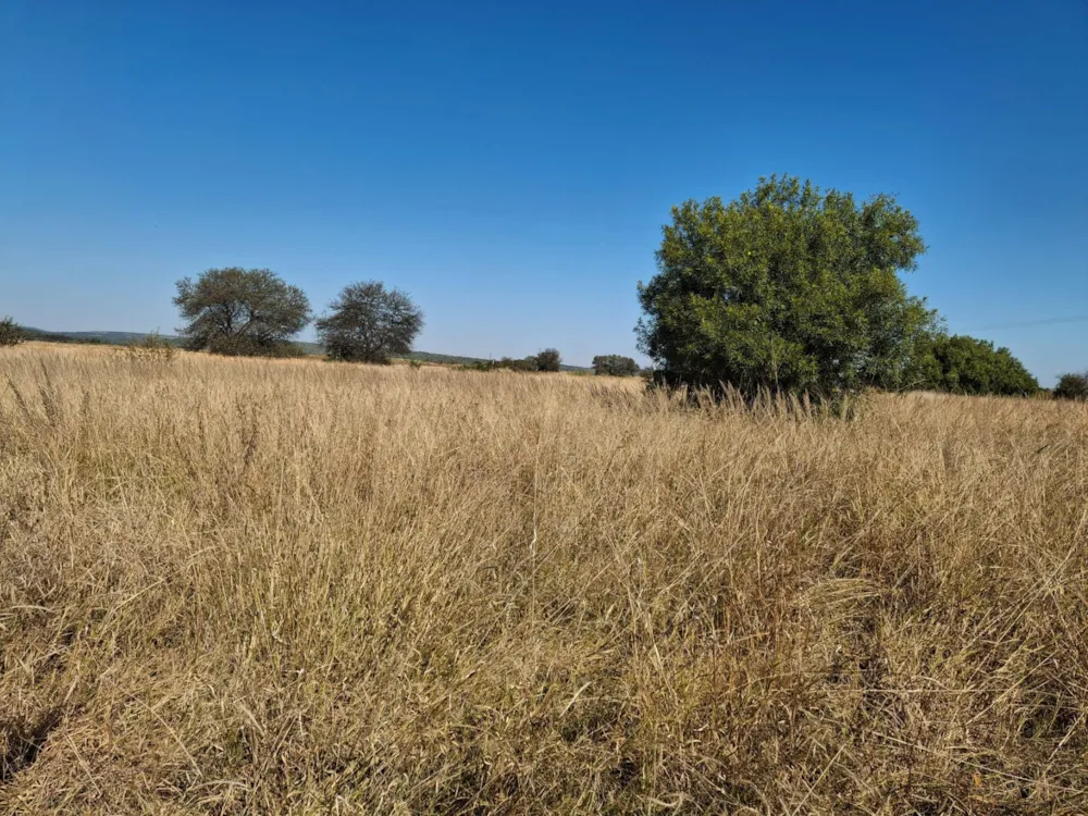 Farm vacant land for sale in Swartruggens - 1RU1703513 Farm vacant land for sale in Swartruggens - 1RU1703513