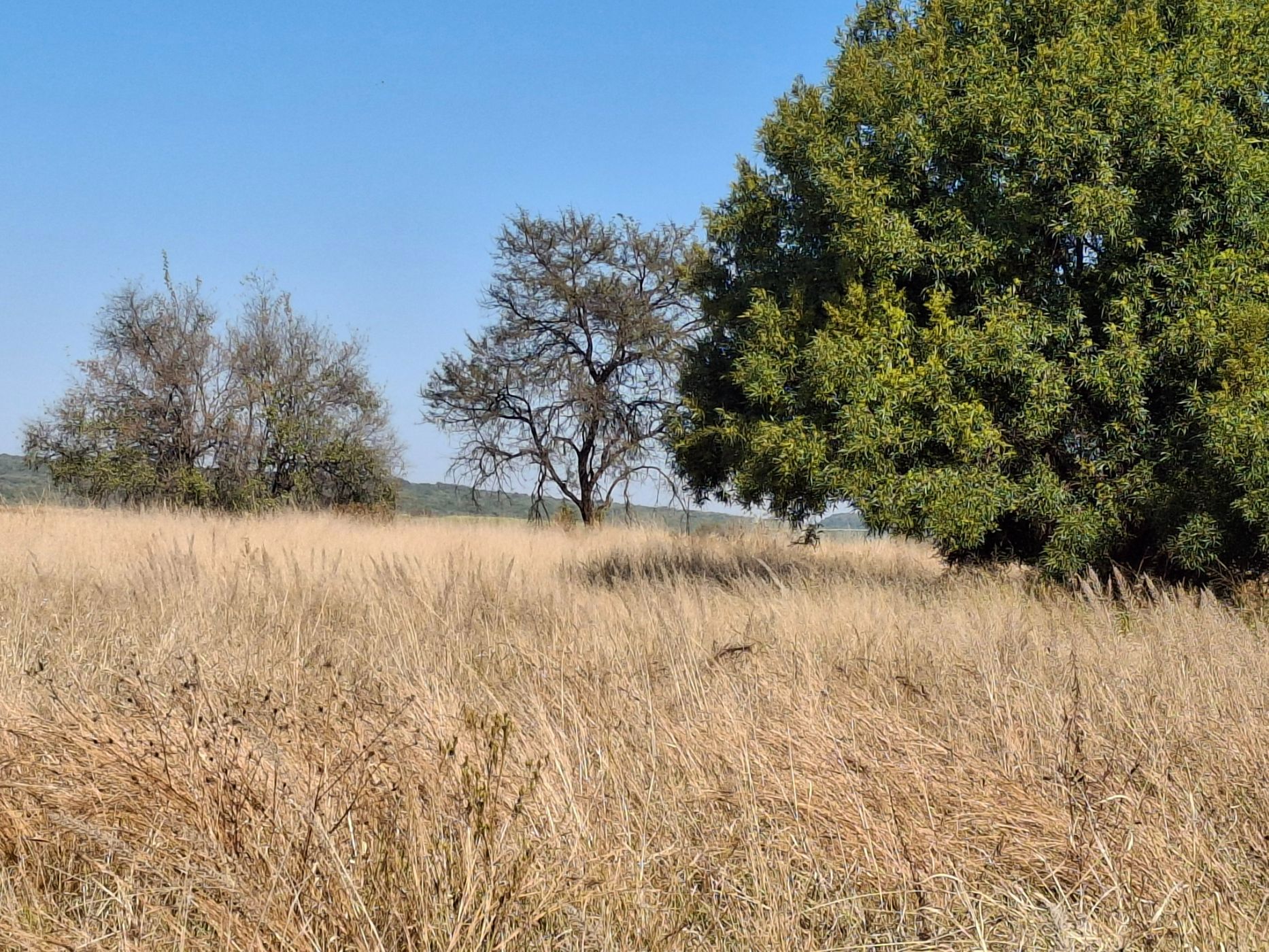 Farm vacant land for sale in Swartruggens - 1RU1703513