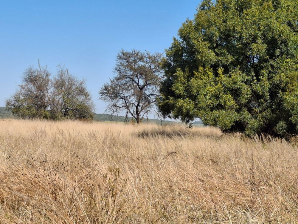 Farm vacant land for sale in Swartruggens - 1RU1703513 Farm vacant land for sale in Swartruggens - 1RU1703513