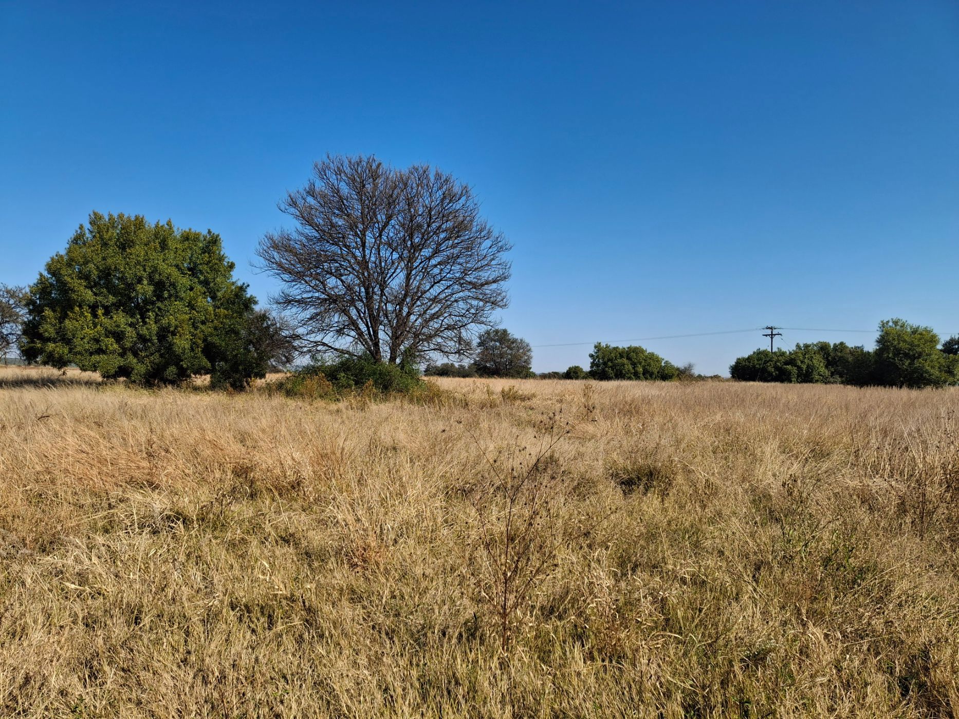 Farm vacant land for sale in Swartruggens - 1RU1703513