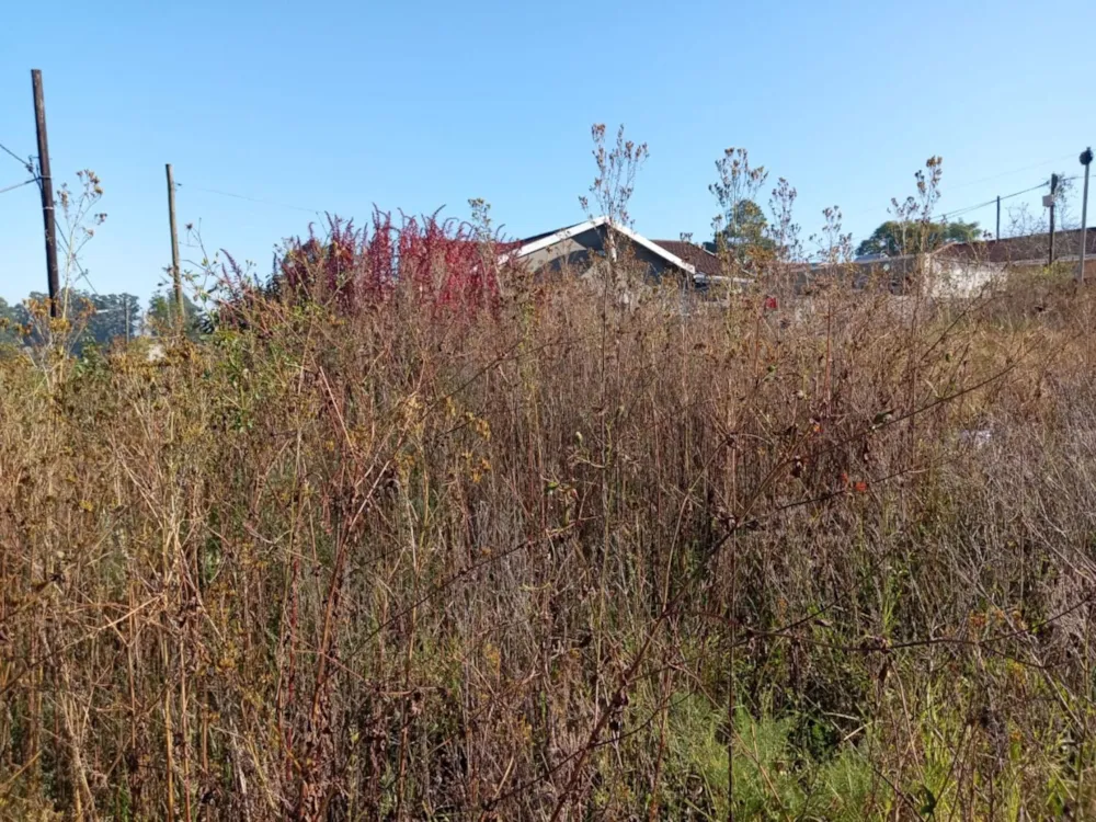 Vacant land for sale in Hillcrest, Mthatha - 1MH1703627 Vacant land for sale in Hillcrest, Mthatha - 1MH1703627