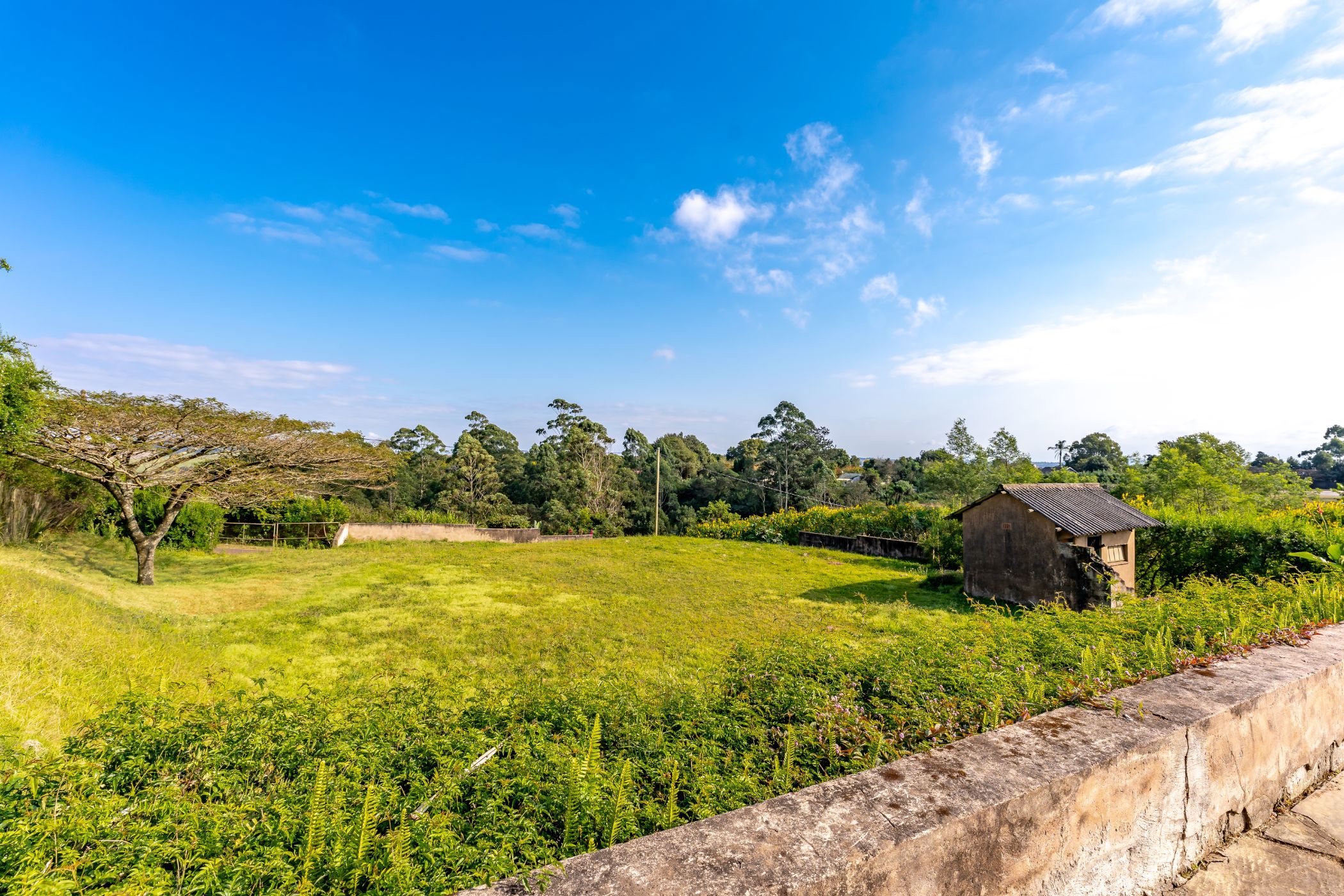 Residential vacant land for sale in Monteseel - 1KF1703652