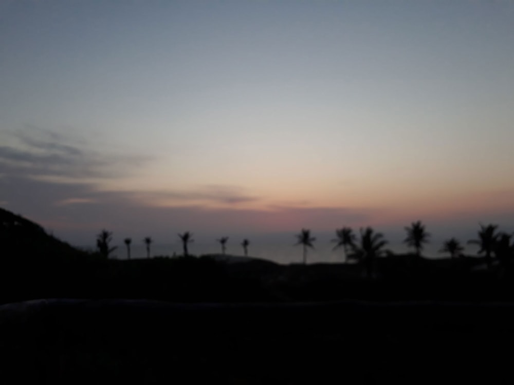 Vacant land for investment in Morrumbene, Mozambique - 3MQ1703712 Vacant land for investment in Morrumbene, Mozambique - 3MQ1703712