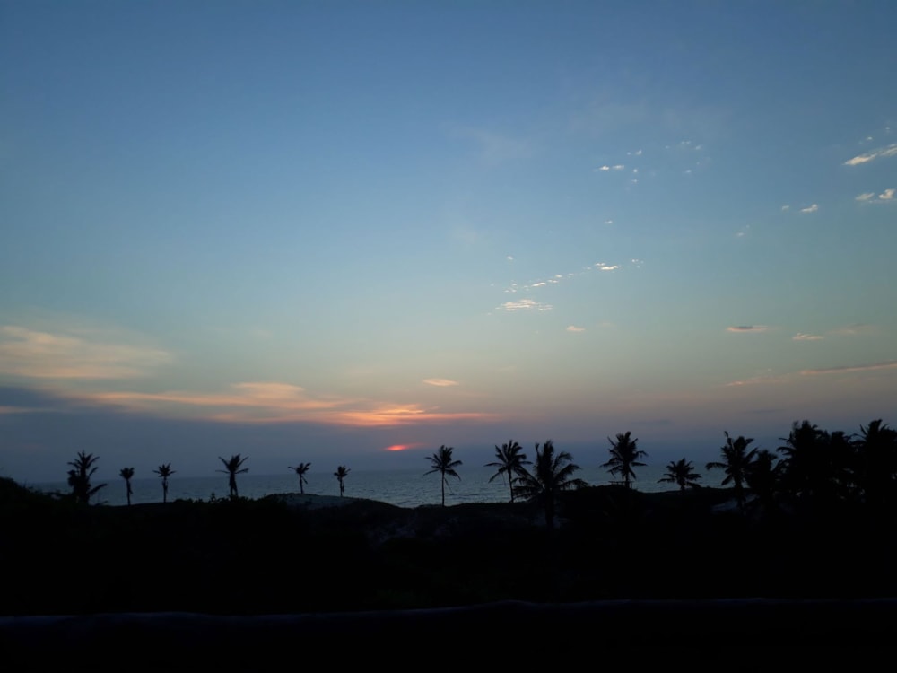 Vacant land for investment in Morrumbene, Mozambique - 3MQ1703712 Vacant land for investment in Morrumbene, Mozambique - 3MQ1703712