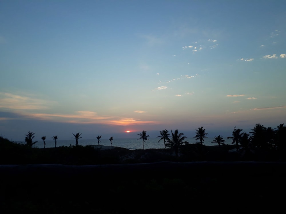 Vacant land for investment in Morrumbene, Mozambique - 3MQ1703712 Vacant land for investment in Morrumbene, Mozambique - 3MQ1703712