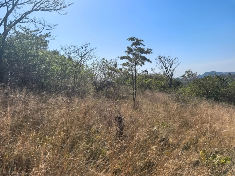 Vacant land for sale in Mbombela Rural (Nelspruit Rural) - 1NS1703850