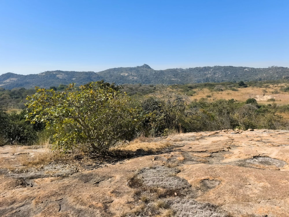 Vacant land for sale in Mbombela Rural (Nelspruit Rural) - 1NS1703850