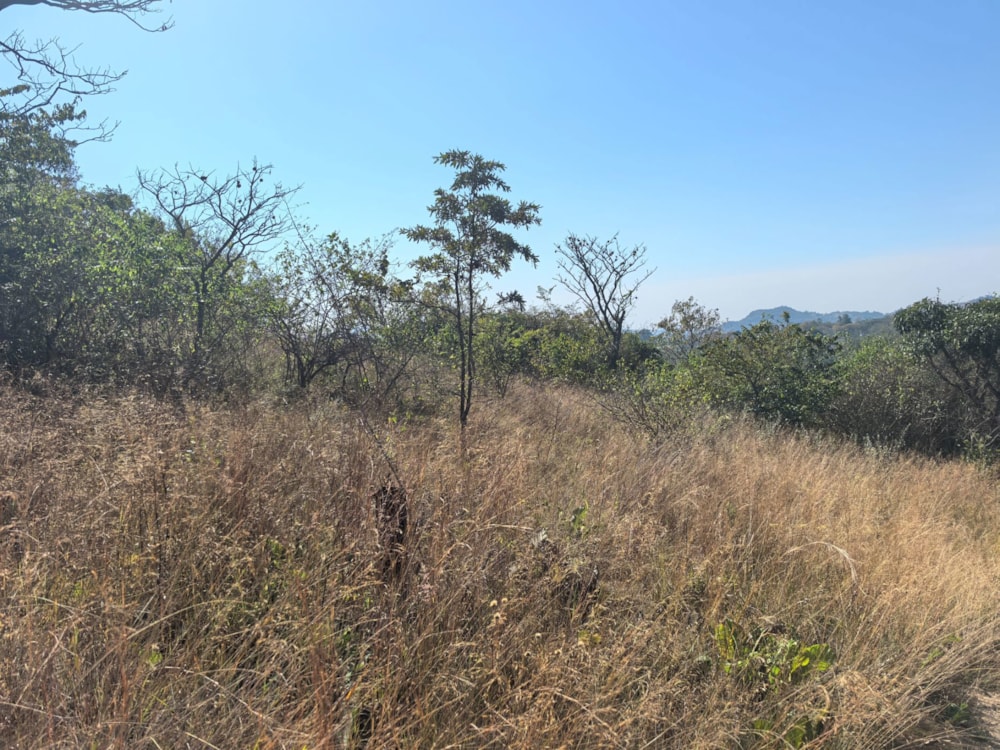 Vacant land for sale in Mbombela Rural (Nelspruit Rural) - 1NS1703850