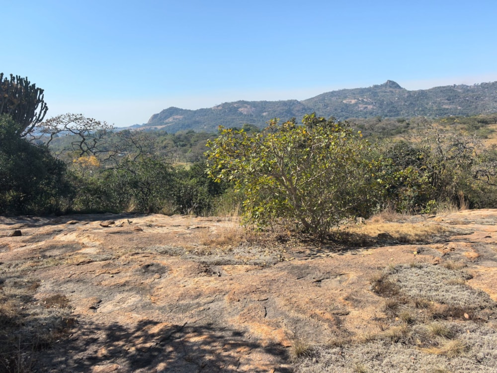 Vacant land for sale in Mbombela Rural (Nelspruit Rural) - 1NS1703850