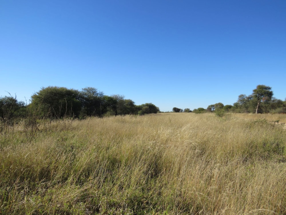 Farm vacant land for sale in Lephalale Rural - 1ER1703907 Farm vacant land for sale in Lephalale Rural - 1ER1703907