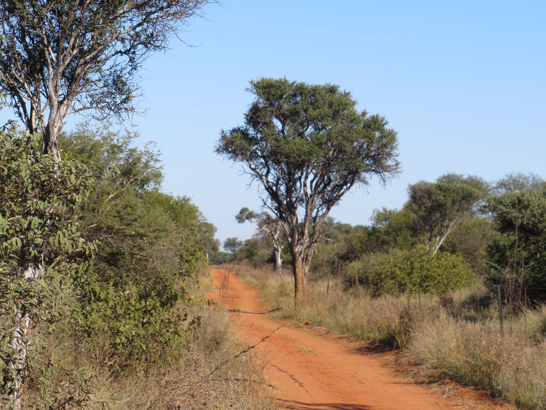 Farm vacant land for sale in Lephalale Rural - 1ER1703907