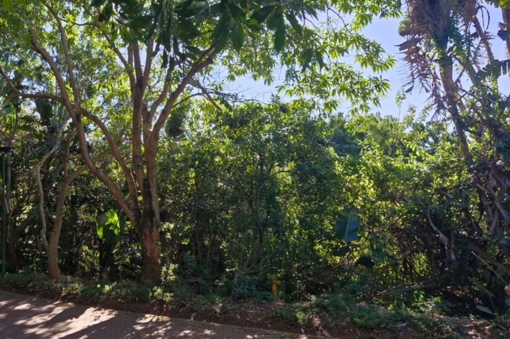 Vacant land for sale in Zimbali Estate - 1BD1703927 Vacant land for sale in Zimbali Estate - 1BD1703927