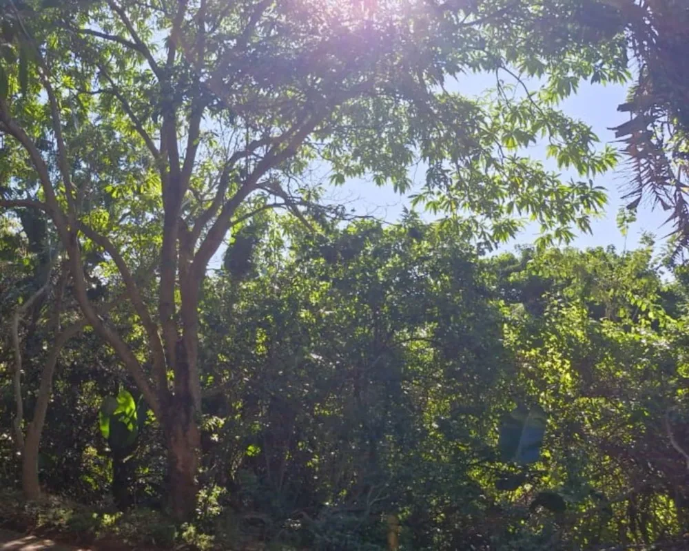 Vacant land for sale in Zimbali Estate - 1BD1703927 Vacant land for sale in Zimbali Estate - 1BD1703927