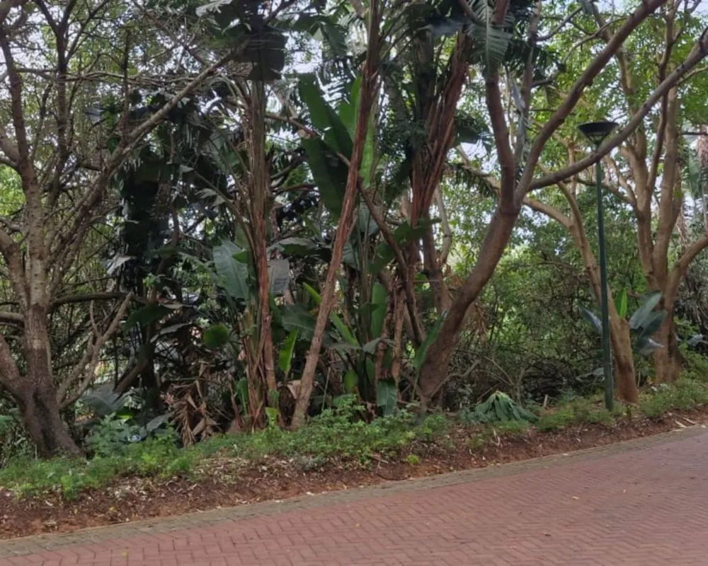 Vacant land for sale in Zimbali Estate - 1BD1703927 Vacant land for sale in Zimbali Estate - 1BD1703927