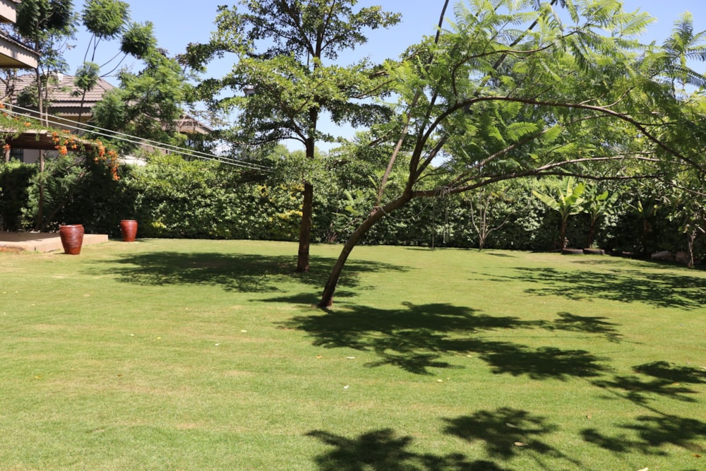 House let in Ridgeways, Kenya - 3KE1704191