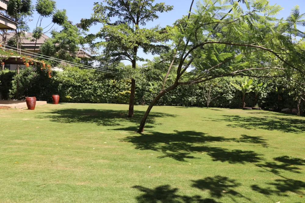 House let in Ridgeways, Kenya - 3KE1704191 House let in Ridgeways, Kenya - 3KE1704191