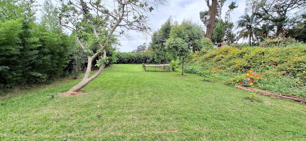 Cottage let in Ridgeways, Kenya - 3KE1704812