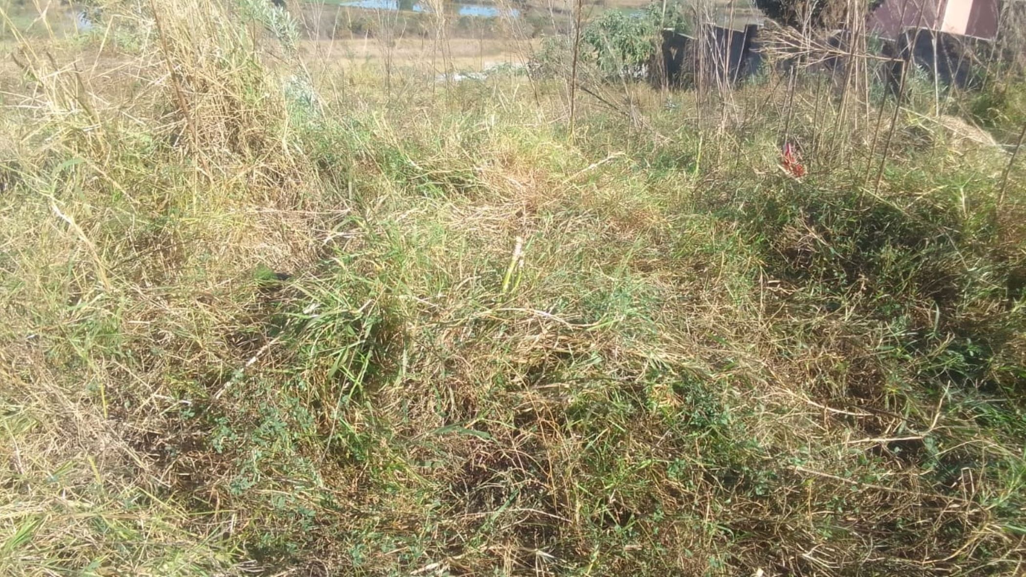 Vacant land for sale in Northcrest - 1MH1704626